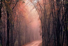 28圈官网:排球——女排超级联赛:江苏中天钢铁队夺冠.