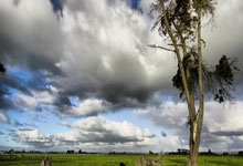 德国杯-穆勒2射1传凯恩破门 拜仁4-0乌尔姆.