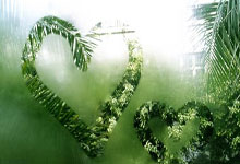 无障碍环境建设，温暖赛场内外人民日报.