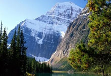 28圈官网:中超能顶门面葡萄牙外援 就剩下申花特谢拉 北京国安法比奥.